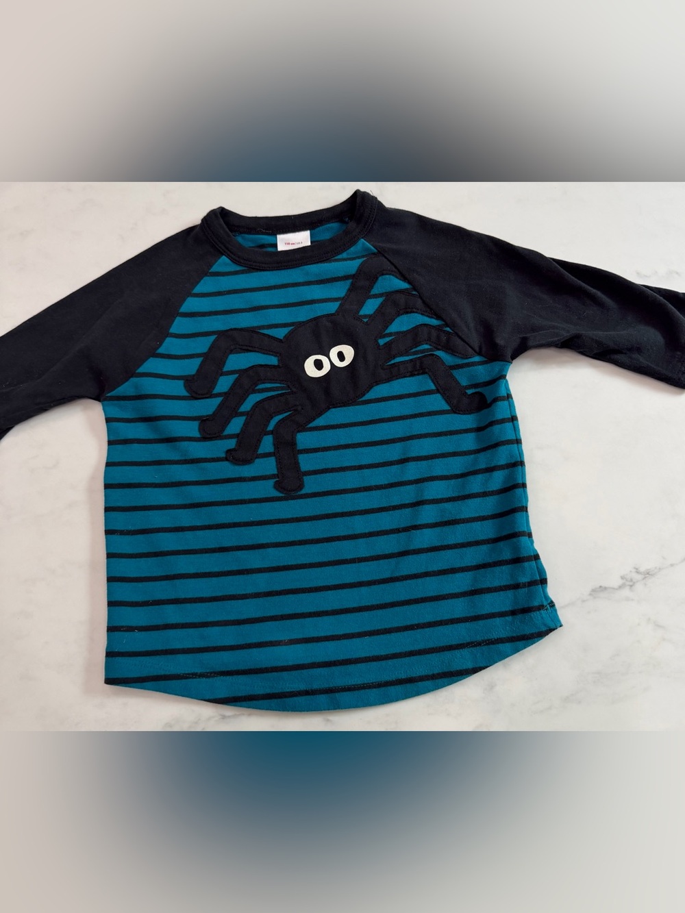 Hanna Andersson Teal & Black Striped Spider Raglan Long Sleeve Tee